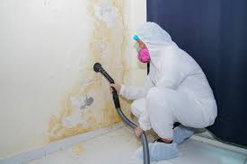 Best Residential Mold Inspection & Testing  in Clay, CA